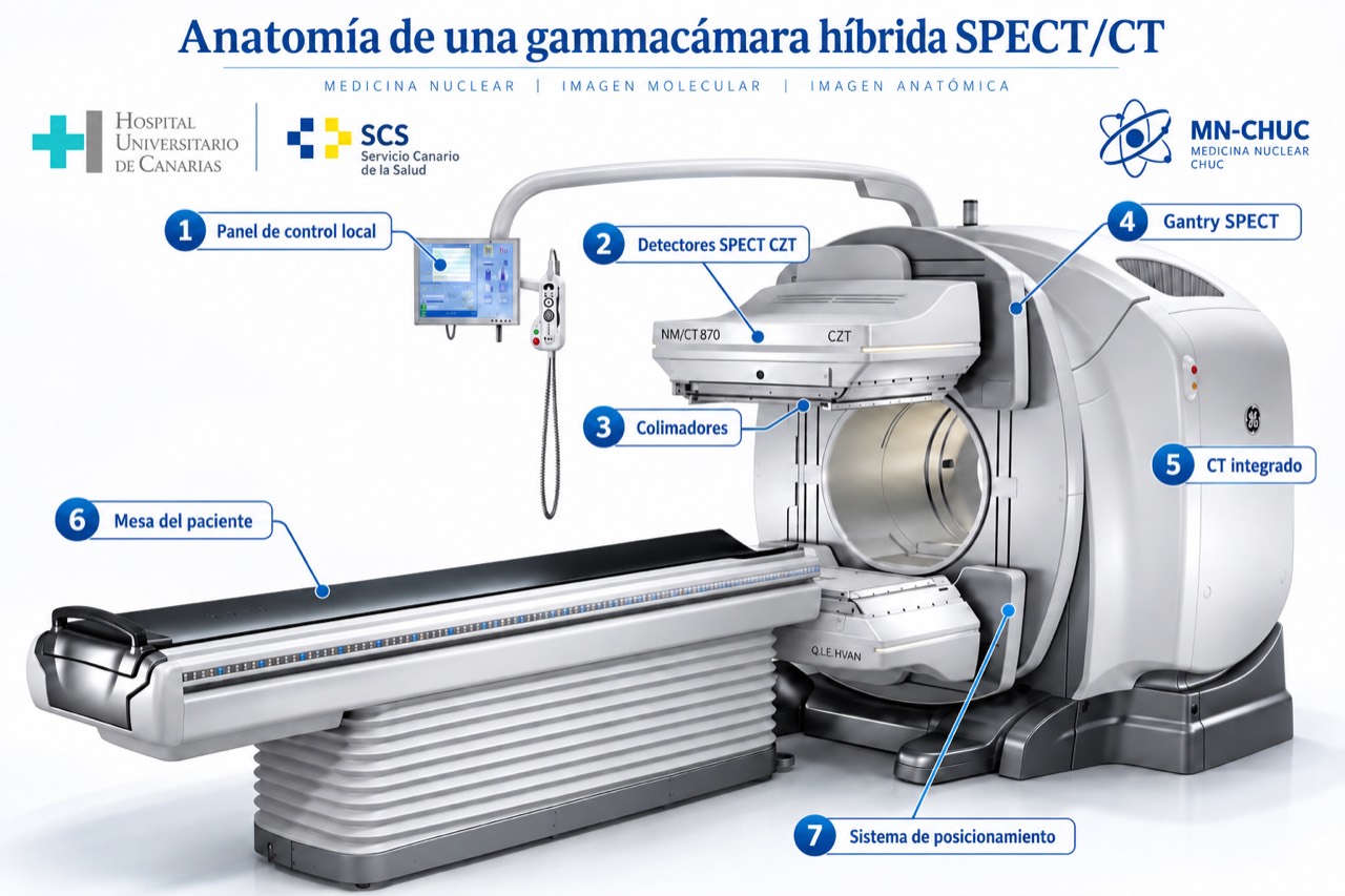 Anatomía de una gammacámara híbrida SPECT/CT: panel de control, detectores, colimadores, gantry SPECT, CT integrado, mesa del paciente y sistema de posicionamiento.